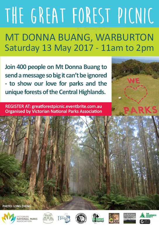 Great Forest Picnic Warburton Mt Donna Buang
