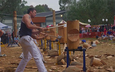 Wood chop this weekend April 6th