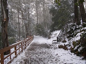 Snow on Mt Donna