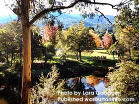 Autumn trees in Warburton