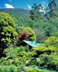 Yumbara Mountain retreat - Phone 03 5966 5315