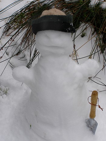 snow man on mount donna buang