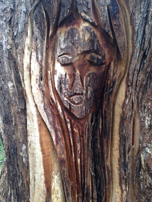 Yuonga Road Wood Sculpture