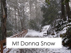 Images of snow on Mt Donna Buang