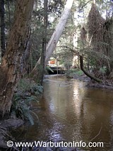 Photo of Big Pats Creek