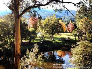 Warburton VIC - Autumn Photo by Lara Goodger