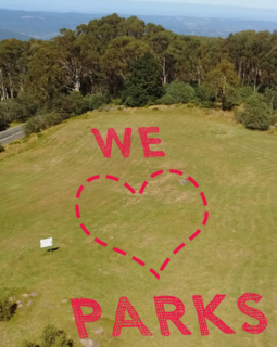 13 May 2017 - The Great Forest Picnic on Mt Donna Buang
