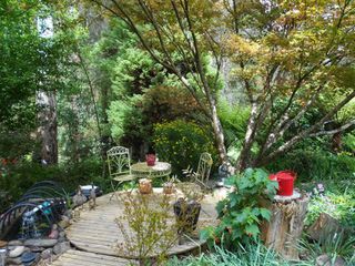 COMPLETED: November 22 - Saturday 10am - 4pm - OPEN GARDEN - $3 - TEL: 5966 9827