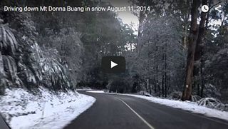 Warburton video