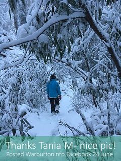 Mt Donna Snow - Pic of the day 24 June 2016 - Tania M