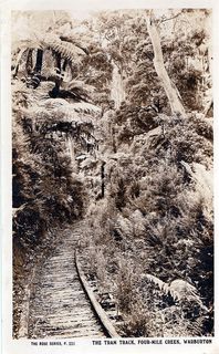 The Tram Track Four Mile Creek Warburton - 'The Rose Series P231'