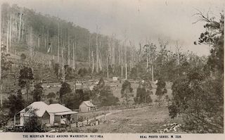 The mountain walls around Warburton Victoria - real photo series M2220