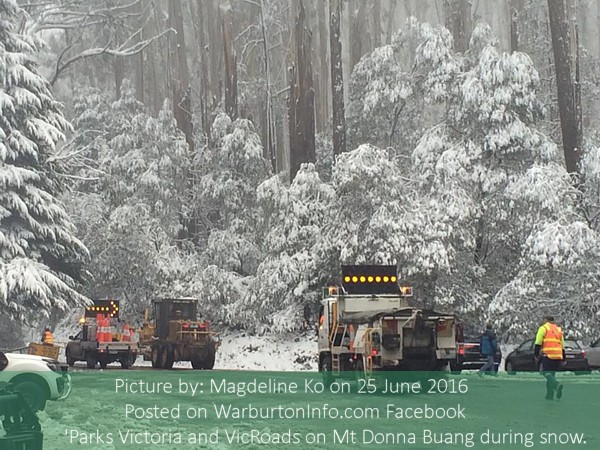 Parks Victoria, VicRoads working to clear snow on Mt Donna