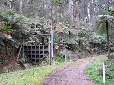 O’Shannassy Aqueduct Trail