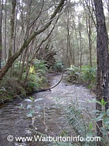 Photo of Big Pats Creek / river