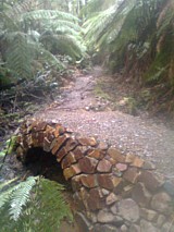 Walk to Lala Falls - picture by Paul Jackson