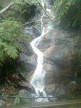Lala Falls Warburton