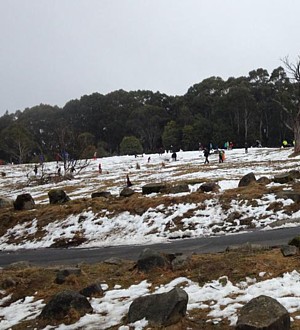 Patchy sightseeing snow on Mt Donna Buang