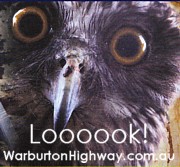 Warburton Highway