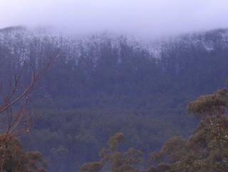 Snow on Mountain behind Warburton 2008