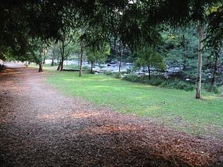 Redwood Walk - Lala falls end of Warburton