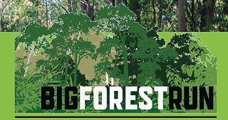 COMPLETED: Easter 2014 - Big Forest Run - 'Powelly to Warby' - Watch this space for another event in 2014