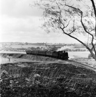 Last train Warburton (1 August 1965) by Photographer Andrew Lyell